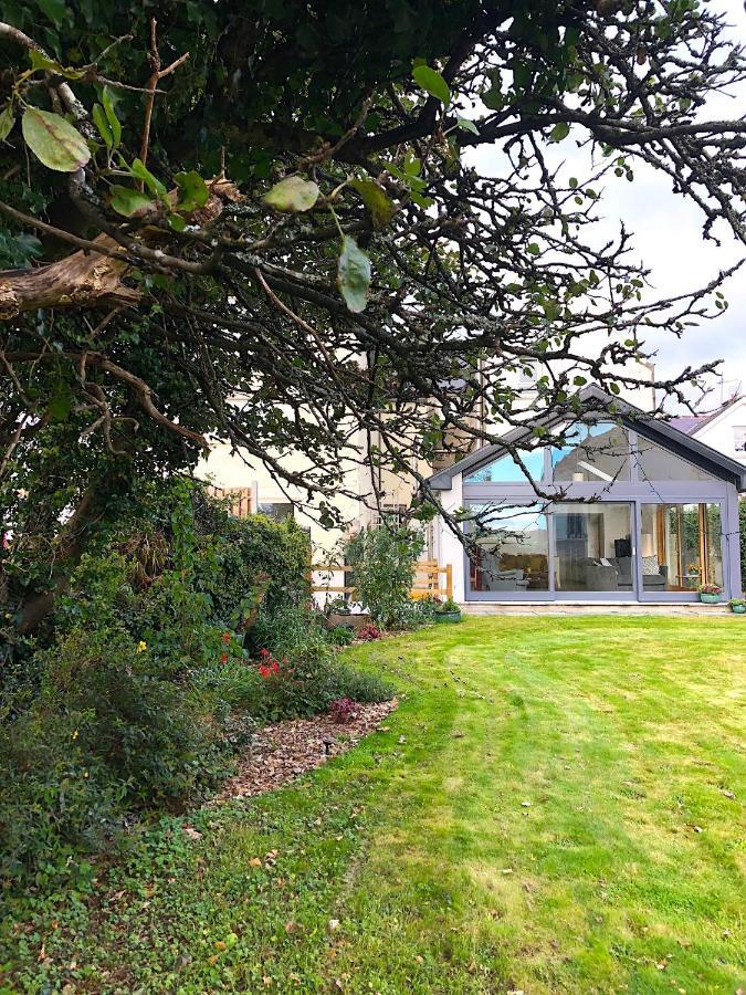 Dingle Garden Townhouse Bed & Breakfast Dış mekan fotoğraf The garden of the house